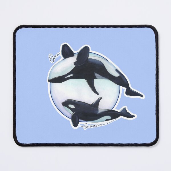 Item preview, Killer whale (Orcinus orca) designed and sold by PhocoenaArt.