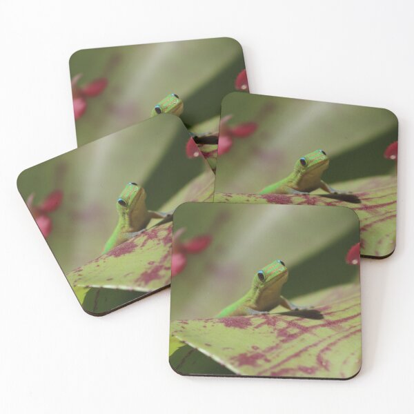 Artikelvorschau, Hawaiian Day Gecko Fesselnder Blick Nahaufnahme Wildlife Fotografie entworfen und verkauft von Hawaii Wildlife & Landscape Prints.