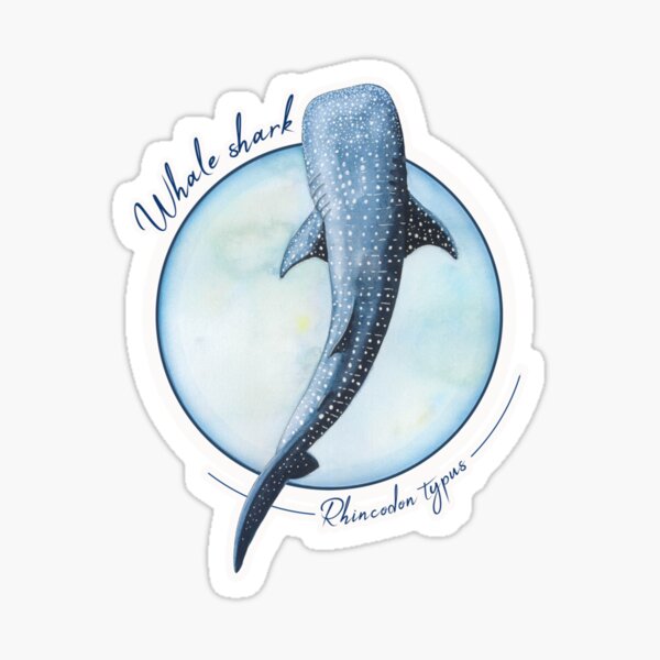 Artikel-Vorschau von Walhai (Rhincodon typus), designt und verkauft von PhocoenaArt.