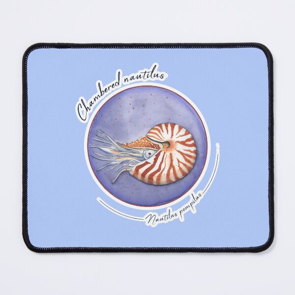 Item preview, Nautilus (Nautilus pompilius) designed and sold by PhocoenaArt.