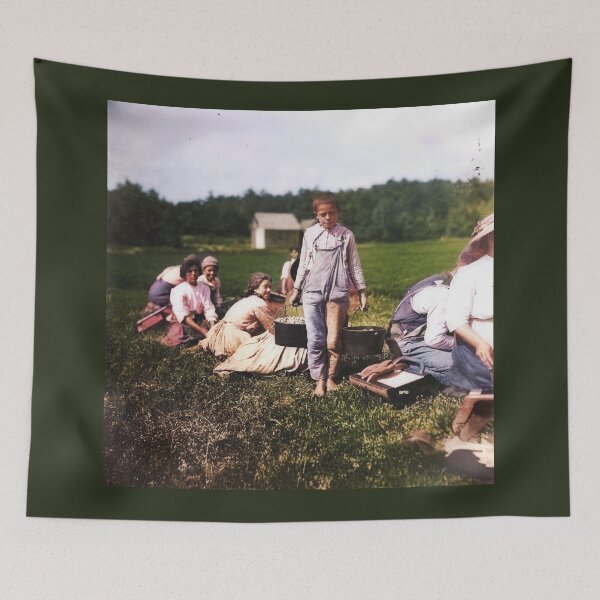 Item preview, The Young Harvester - Cranberry Fields Before Child Labor Laws, 1911 - dePace' designed and sold by mrpropcake.