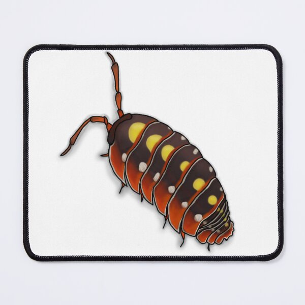 Item preview, Clown Isopod (Armadillidium klugii 'Montenegro') designed and sold by panickyOpossum.