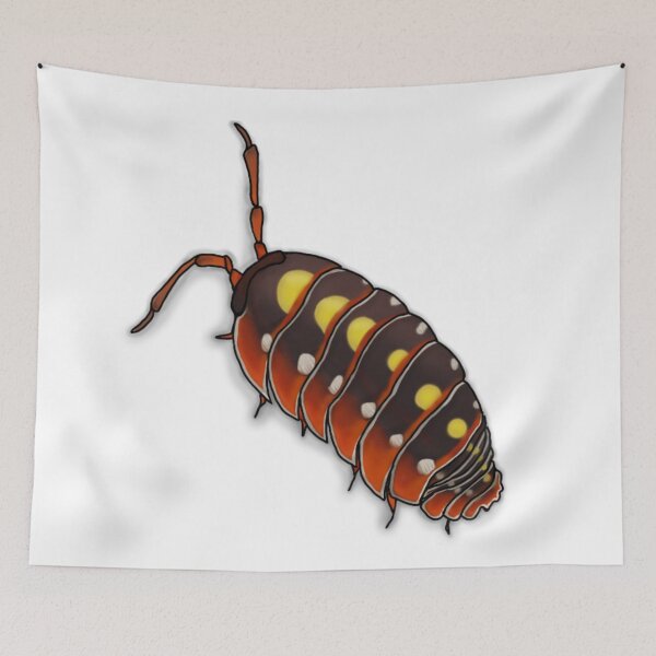 Item preview, Clown Isopod (Armadillidium klugii 'Montenegro') designed and sold by panickyOpossum.