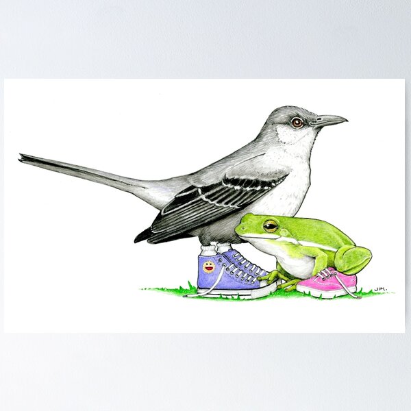 Item preview, Mockingbird and Frog in Sneakers designed and sold by JimsBirds.