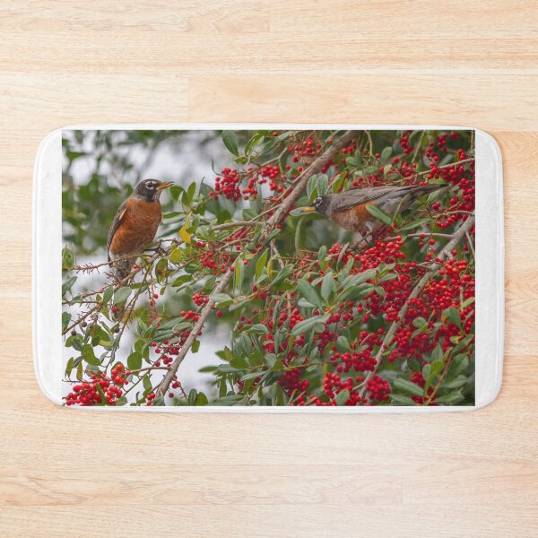 Item preview, An American Robin, with its vibrant red-orange breast and dark grayish-brown back, hops energetically among the branches of a fruit tree in Crystal River, Florida designed and sold by EyezWatchin.