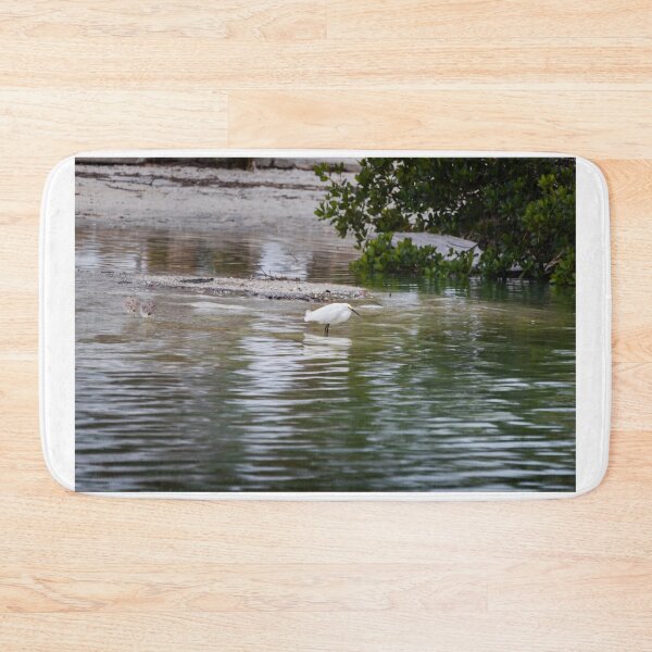 Item preview, A beautifully captured full color photograph of a white seabird fishing near a group of other seabirds in Sarasota Bay designed and sold by EyezWatchin.