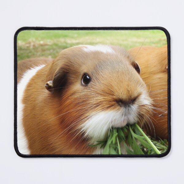 Item preview, Guinea Pigs designed and sold by pawprintz.