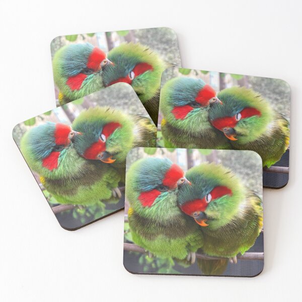 Item preview, Musked Lorikeets designed and sold by pawprintz.