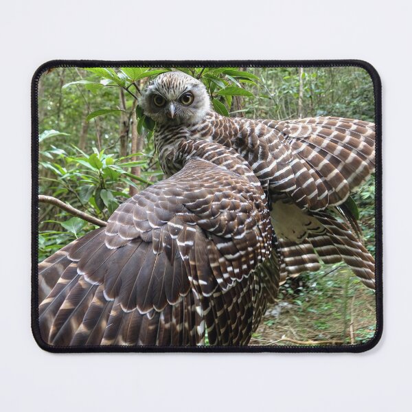 Item preview, Powerful Owl designed and sold by pawprintz.