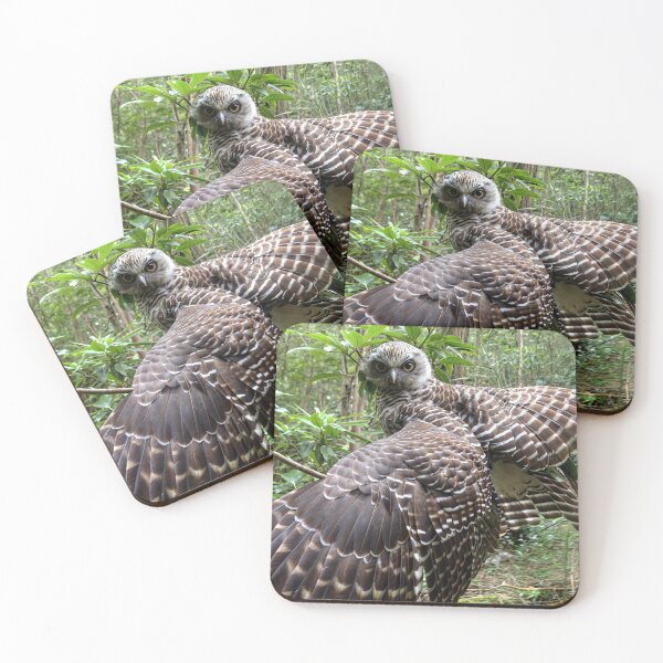Item preview, Powerful Owl designed and sold by pawprintz.
