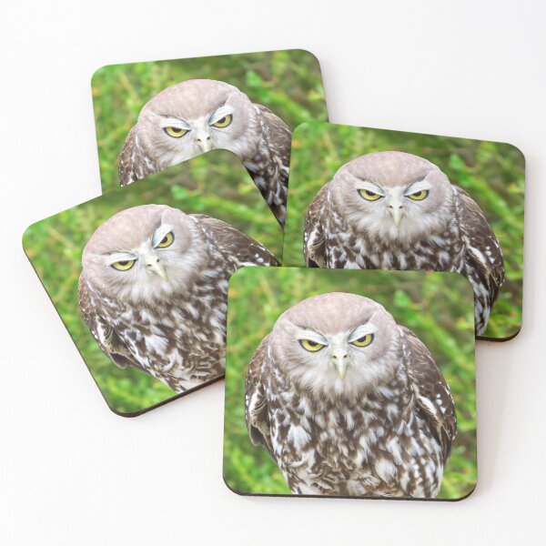 Item preview, Owl frowning designed and sold by pawprintz.