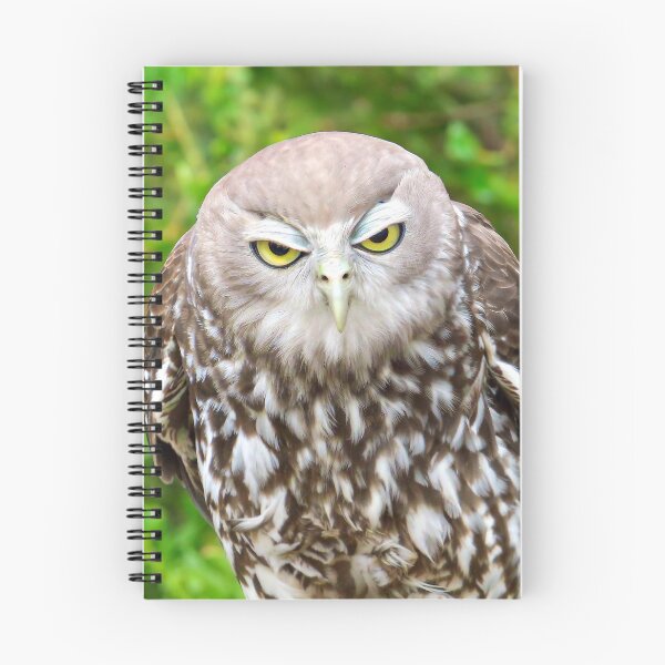 Item preview, Owl frowning designed and sold by pawprintz.
