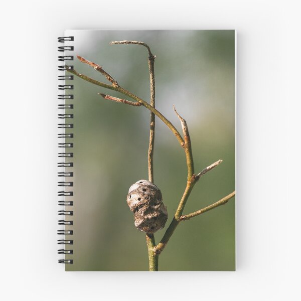 Item preview, Nature's Ballet designed and sold by Marissa Mancini.
