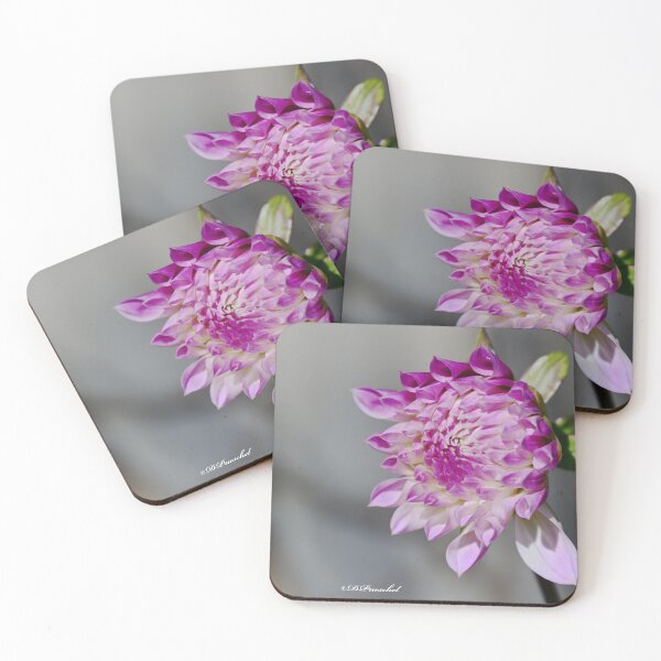 Item preview, Purple Dahlia Bud Perfection designed and sold by Tdcc2000.