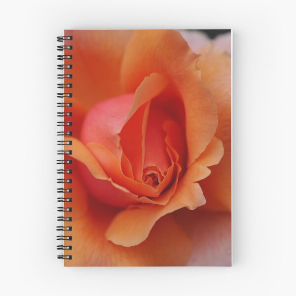 Item preview, Apricot Rose designed and sold by CapturedByKate.