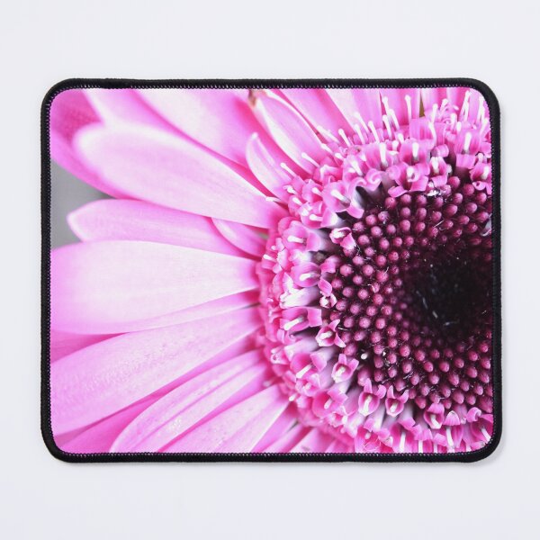 Artikelvorschau, Hübsches Rosa entworfen und verkauft von CapturedByKate.