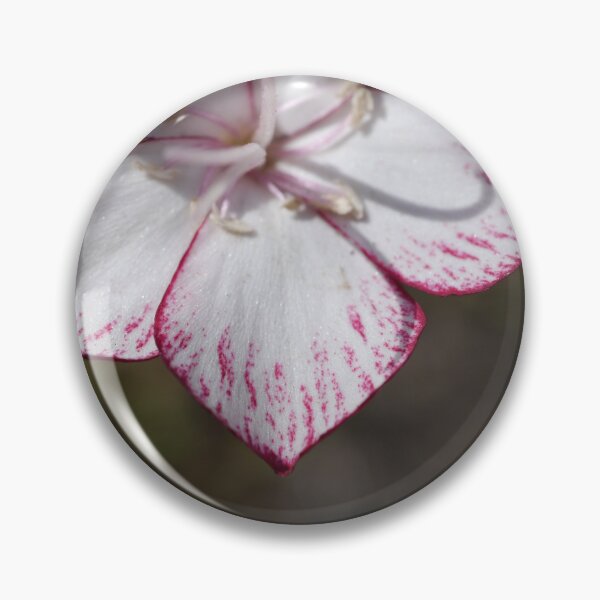 Item preview, Single carnation designed and sold by CapturedByKate.