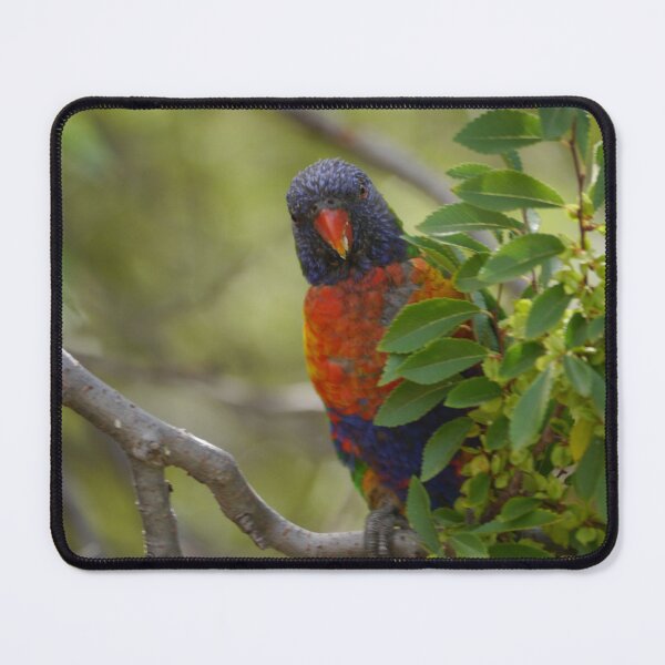 Item preview, Can I help you? designed and sold by CapturedByKate.