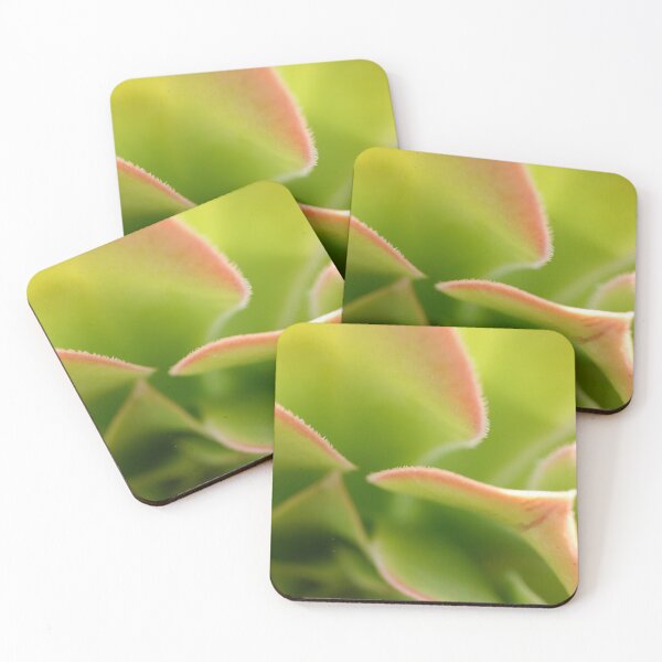 Item preview, Succulent designed and sold by CapturedByKate.