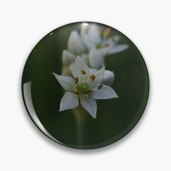 Item preview, Garlic Chives Flower designed and sold by CapturedByKate.
