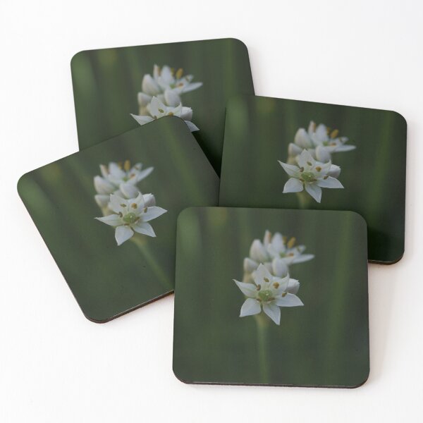 Item preview, Garlic Chives Flower designed and sold by CapturedByKate.
