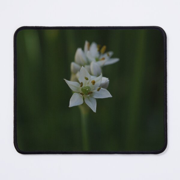 Item preview, Garlic Chives Flower designed and sold by CapturedByKate.