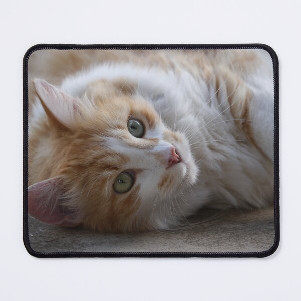 Item preview, Cute Kitty designed and sold by CapturedByKate.