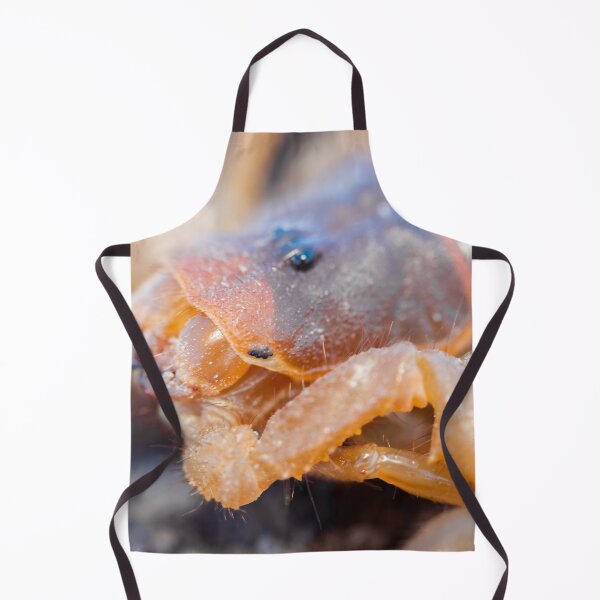 Item preview, Desert Wanderer: Scorpion Macro designed and sold by Pixel Press Prints.
