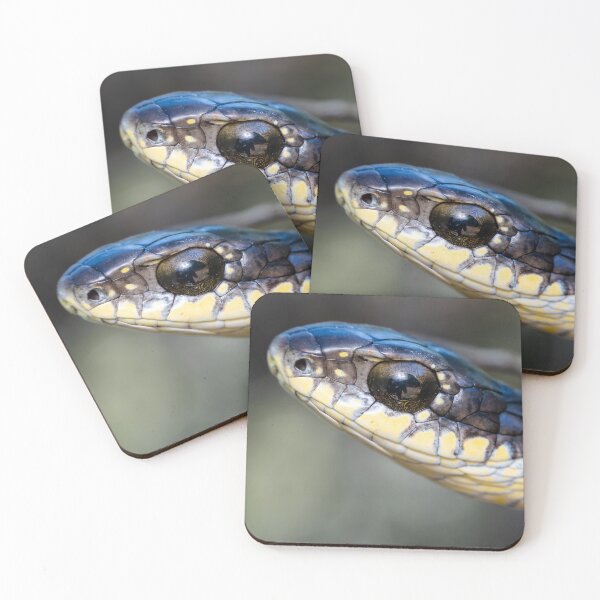 Item preview, Boomslang (Dispholidus typus) designed and sold by Pixel Press Prints.