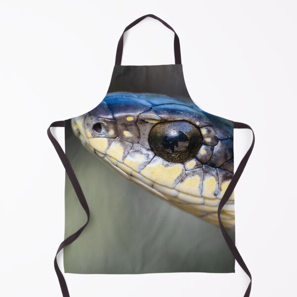 Item preview, Boomslang (Dispholidus typus) designed and sold by Pixel Press Prints.