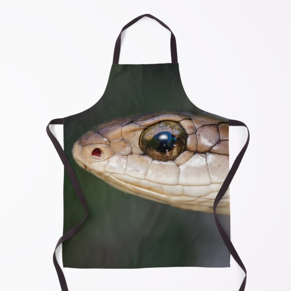 Item preview, Boomslang (Dispholidus typus) designed and sold by Pixel Press Prints.