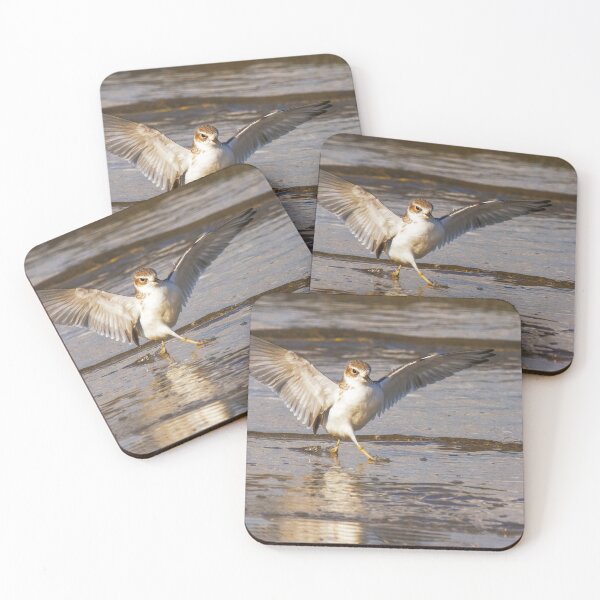 Item preview, Strutting Dotteral designed and sold by DVart-nz.