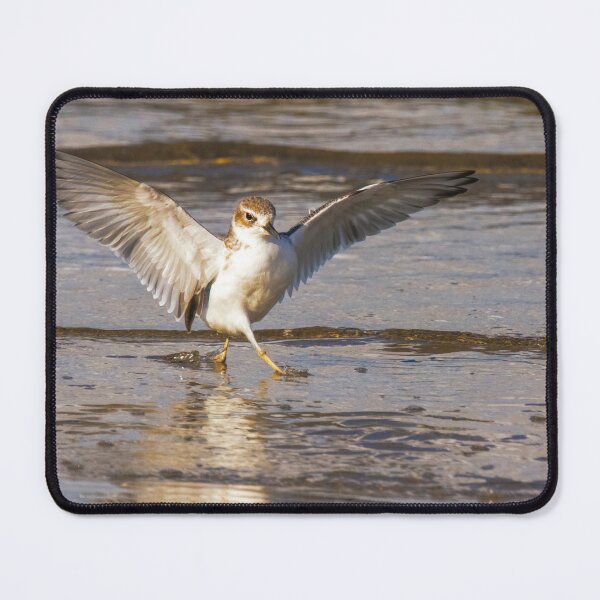 Item preview, Strutting Dotteral designed and sold by DVart-nz.