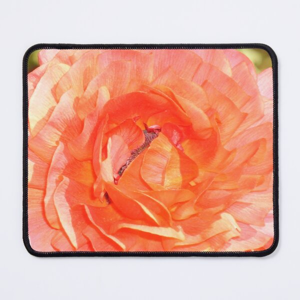 Item preview, Ranunculus designed and sold by CapturedByKate.