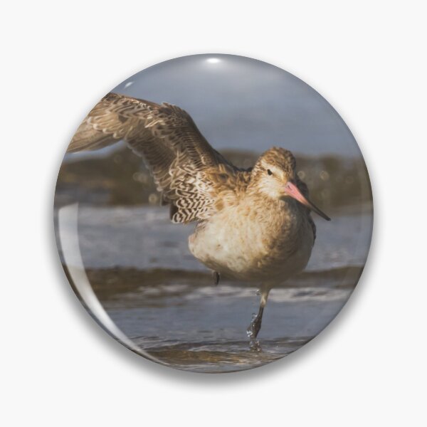 Item preview, Balancing Bartailed Godwit designed and sold by DVart-nz.
