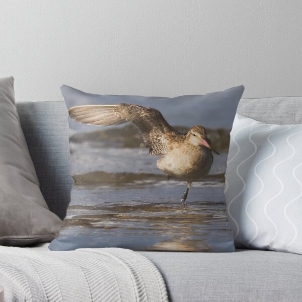 Item preview, Balancing Bartailed Godwit designed and sold by DVart-nz.