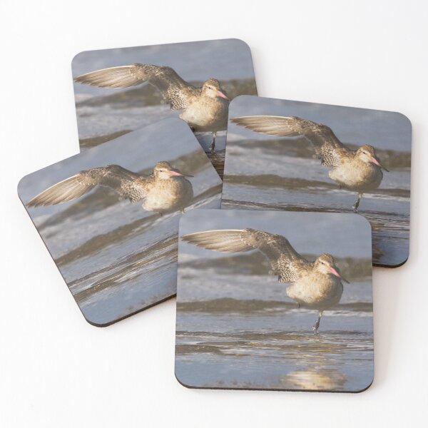 Item preview, Balancing Bartailed Godwit designed and sold by DVart-nz.