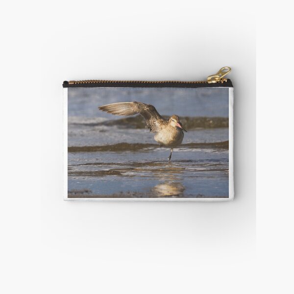 Item preview, Balancing Bartailed Godwit designed and sold by DVart-nz.