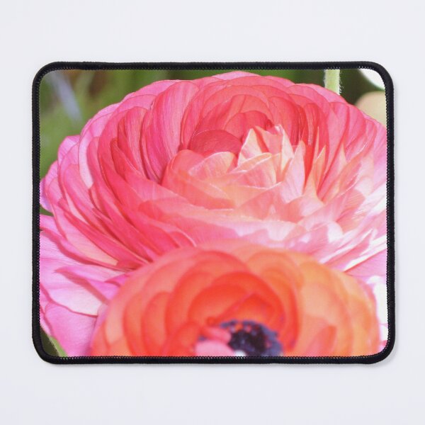 Item preview, Ranunculus designed and sold by CapturedByKate.