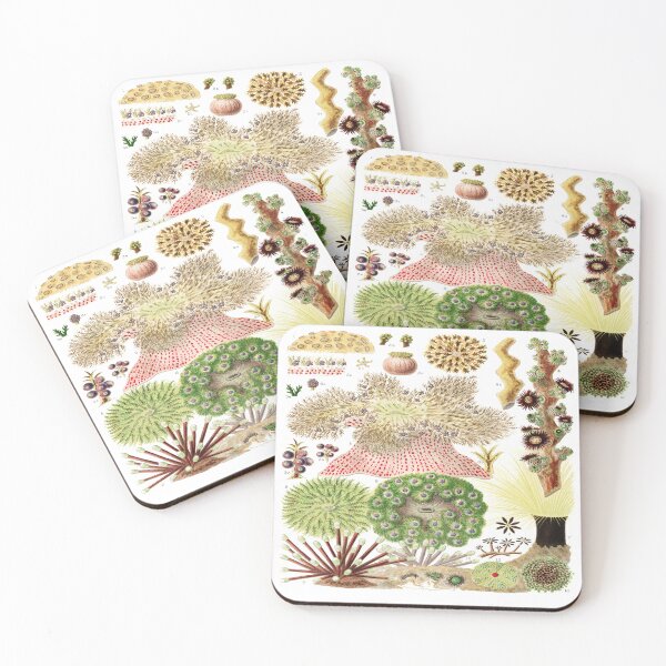 Item preview, Great Barrier Reef Anemones  designed and sold by Tamas Das.