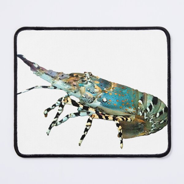 Item preview, lobster on the beach, Spiny lobster Isolated designed and sold by pipikijung.