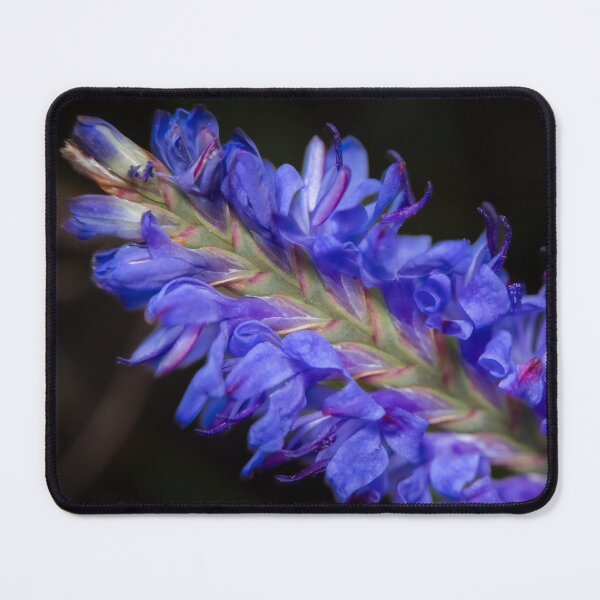 Item preview, Sapphire Spires designed and sold by Pixel Press Prints.