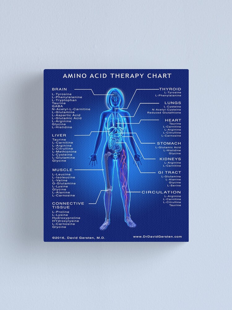 "AMINO ACID THERAPY CHART" Canvas Print for Sale by DavidGersten