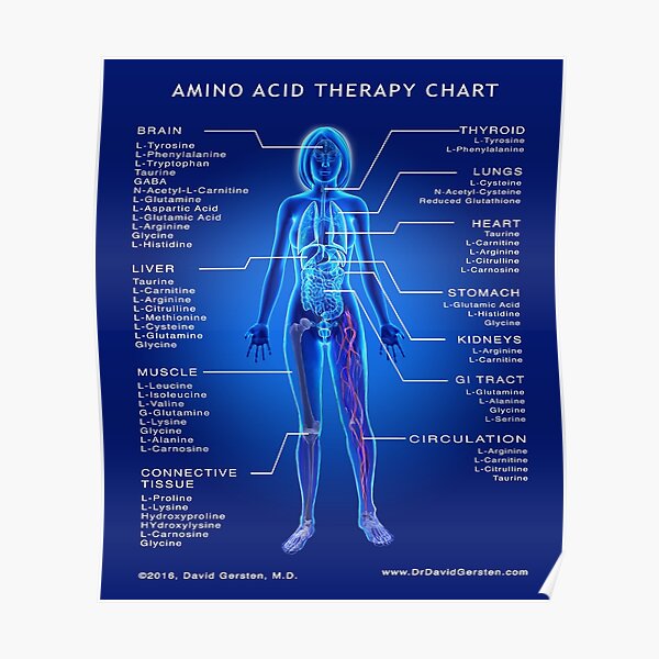 "AMINO ACID THERAPY CHART" Poster by DavidGersten Redbubble