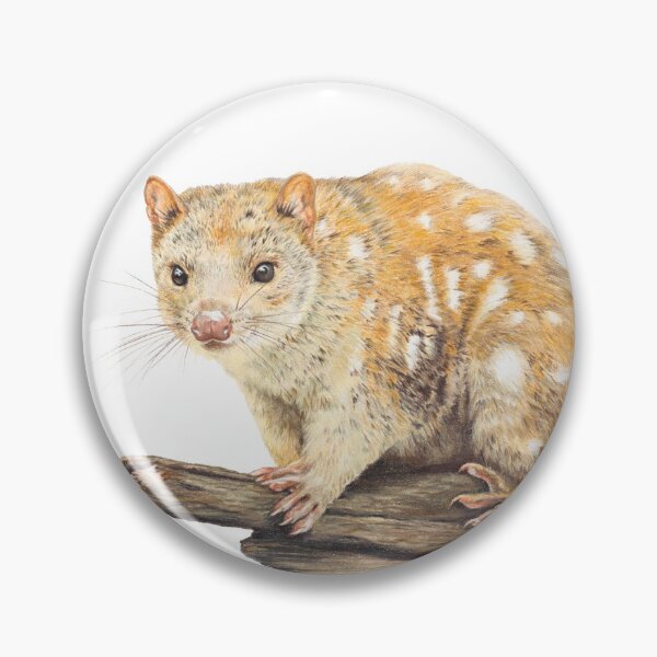 Item preview, Spotted-tailed Quoll designed and sold by Hayley Wilson.