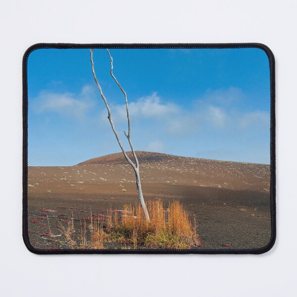 Item preview, Devastation Trail designed and sold by Alex Preiss.