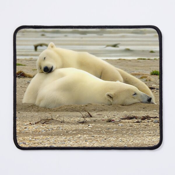 Item preview, Polar bears sleeping designed and sold by pawprintz.