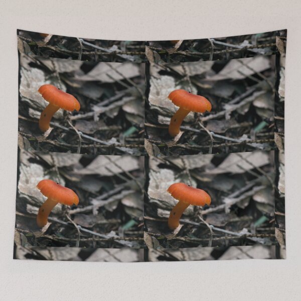 Item preview, Orange Mushroom designed and sold by Marissa Mancini.