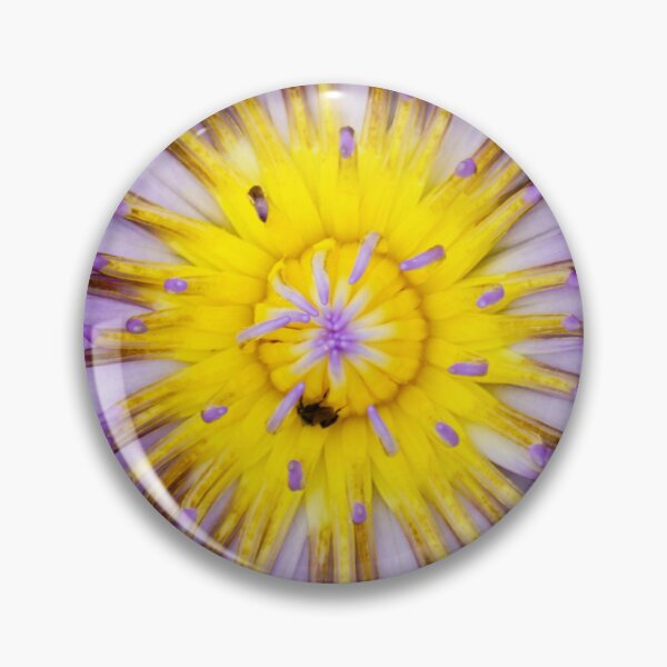 Artikelvorschau, Blumen und Rosen 137 - (c) ben yassa entworfen und verkauft von beny .