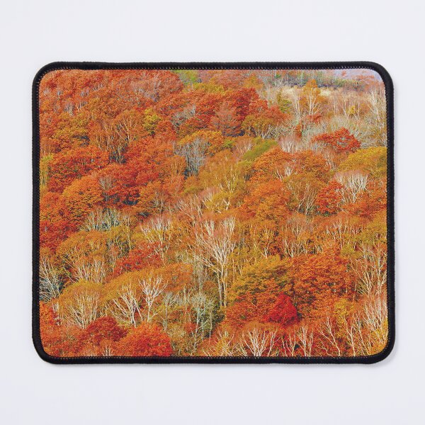 Item preview, Photo collection - Beautiful autumn leaves - designed and sold by store-wasabi.